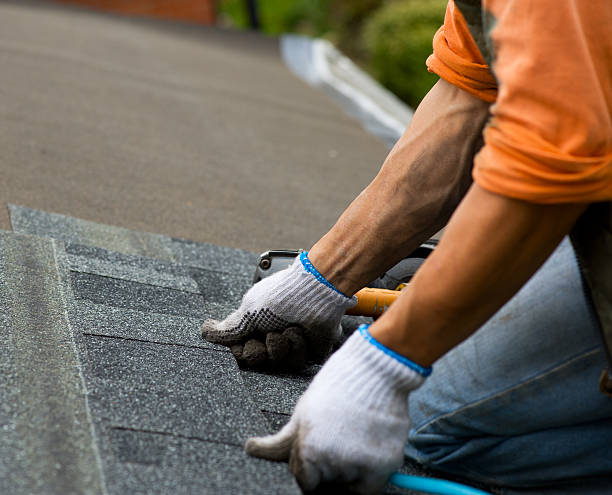 Best Metal Roofing Contractor  in Corinth, MS